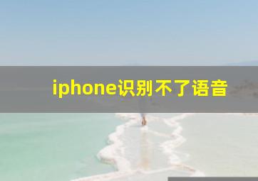 iphone识别不了语音