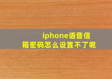 iphone语音信箱密码怎么设置不了呢