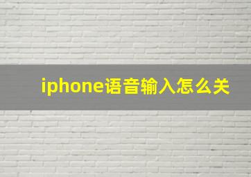 iphone语音输入怎么关