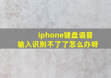 iphone键盘语音输入识别不了了怎么办呀