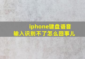 iphone键盘语音输入识别不了怎么回事儿