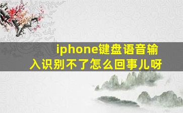 iphone键盘语音输入识别不了怎么回事儿呀