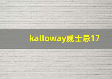 kalloway威士忌17