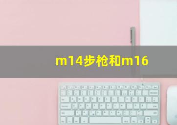 m14步枪和m16