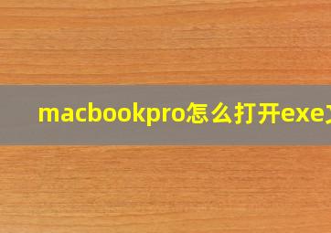 macbookpro怎么打开exe文件