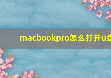 macbookpro怎么打开u盘