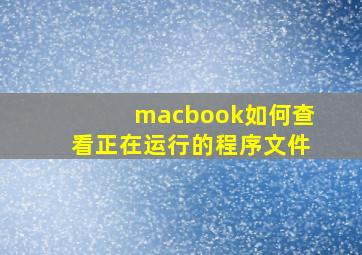 macbook如何查看正在运行的程序文件