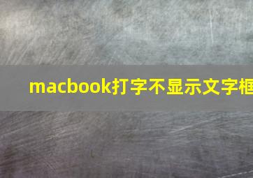 macbook打字不显示文字框