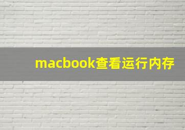 macbook查看运行内存