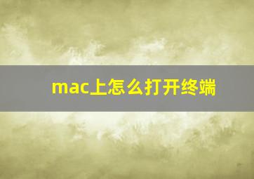 mac上怎么打开终端