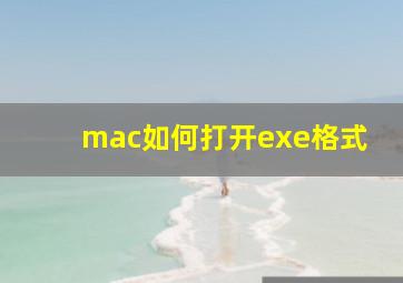 mac如何打开exe格式