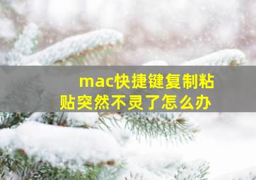 mac快捷键复制粘贴突然不灵了怎么办