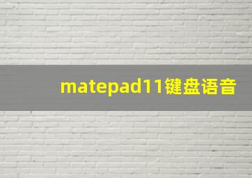 matepad11键盘语音