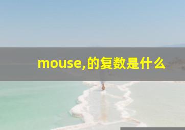 mouse,的复数是什么