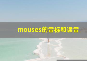 mouses的音标和读音