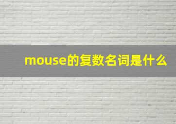 mouse的复数名词是什么