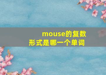 mouse的复数形式是哪一个单词