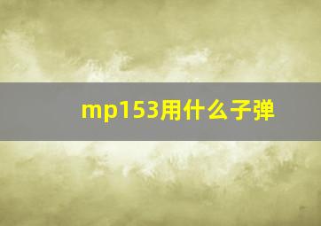 mp153用什么子弹