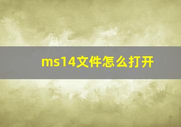 ms14文件怎么打开