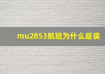 mu2853航班为什么延误