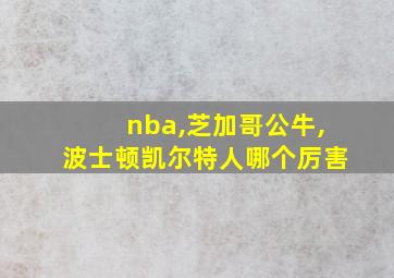 nba,芝加哥公牛,波士顿凯尔特人哪个厉害