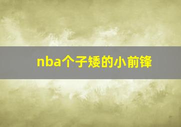 nba个子矮的小前锋