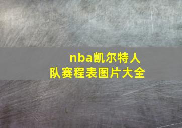 nba凯尔特人队赛程表图片大全