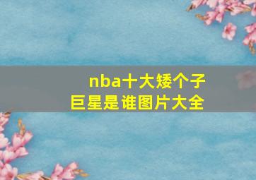 nba十大矮个子巨星是谁图片大全