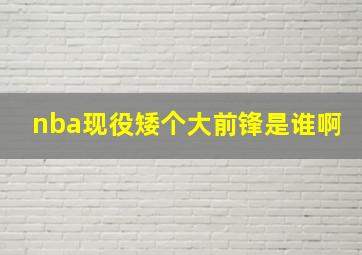 nba现役矮个大前锋是谁啊