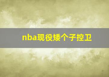 nba现役矮个子控卫