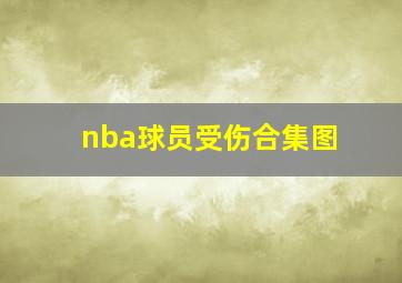 nba球员受伤合集图