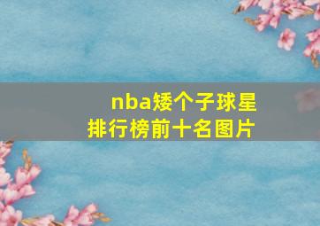 nba矮个子球星排行榜前十名图片