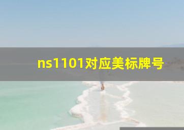 ns1101对应美标牌号