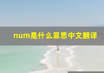 num是什么意思中文翻译