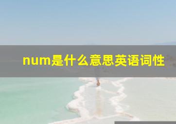 num是什么意思英语词性