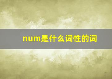 num是什么词性的词