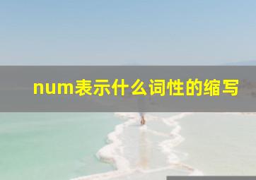 num表示什么词性的缩写