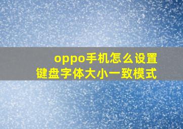 oppo手机怎么设置键盘字体大小一致模式