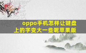 oppo手机怎样让键盘上的字变大一些呢苹果版