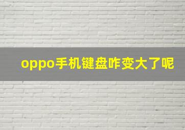 oppo手机键盘咋变大了呢