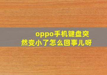 oppo手机键盘突然变小了怎么回事儿呀