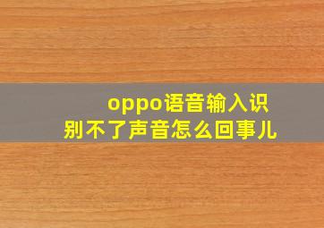 oppo语音输入识别不了声音怎么回事儿