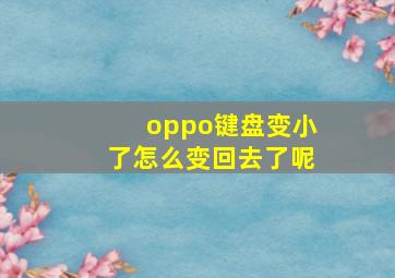 oppo键盘变小了怎么变回去了呢