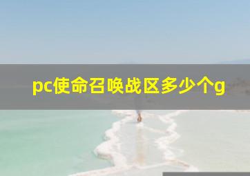 pc使命召唤战区多少个g