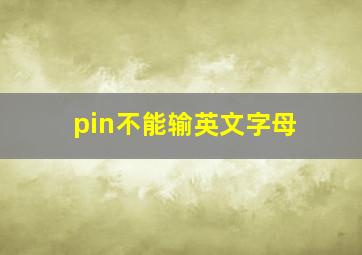 pin不能输英文字母