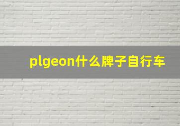 plgeon什么牌子自行车