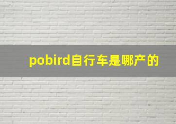 pobird自行车是哪产的