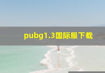 pubg1.3国际服下载