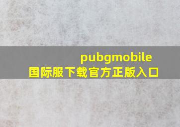 pubgmobile国际服下载官方正版入口