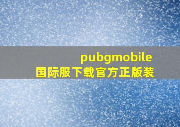 pubgmobile国际服下载官方正版装